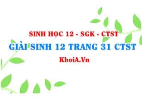 Giải Sinh 12 trang 31 Chân trời Sáng tạo